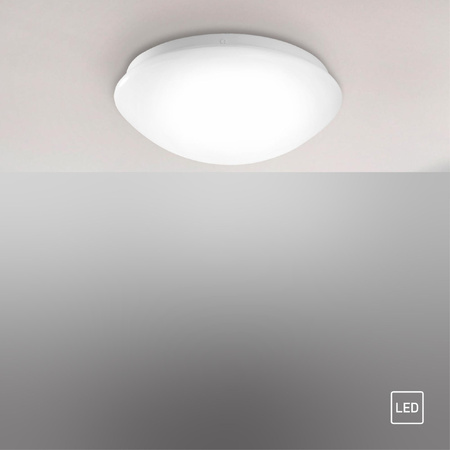 ANDREA-LED LAMPA SUFITOWA BIAŁY (14243-16) - Paul Neuhaus