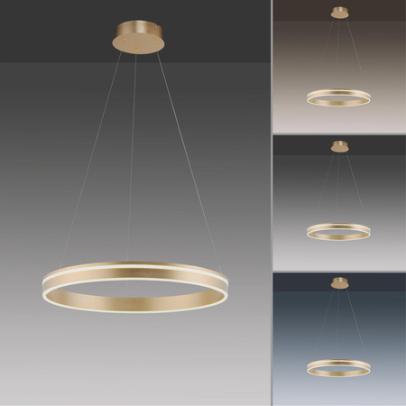 Q-VITO LAMPA WISZĄCA MOSIĄDZ (8411-60) - Paul Neuhaus