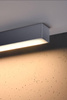 Lampa sufitowa PINNE 200 szary 3000K (TH.242) - Thoro Lighting