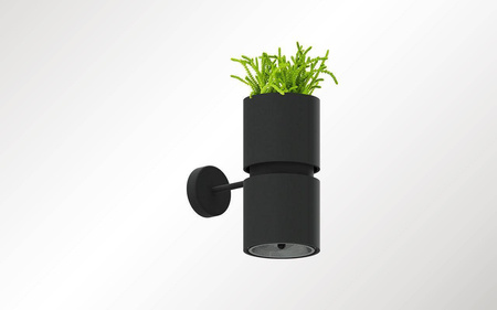 Kinkiet KUKKIA czarna (TH.005CZ) - Thoro Lighting