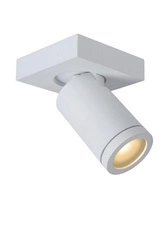 Lampa sufitowa TAYLOR (09930/05/31) - Lucide