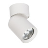 Pointa 1 spot biały 1xGU10 (LP-6398/1WS WH) - Light Prestige