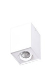 Plafon Basic Square biały (C0070) Maxlight