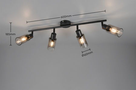 MARS (R80014032) - RL