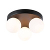 Lampa sufitowa GOVE LED 3 czarny matowy (PL71069) - PAULMANN