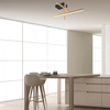 CEILING LIGHT 25W 3000K ALUMINIUM BLACKGOLD (22024 Zambelis) - Zambelis