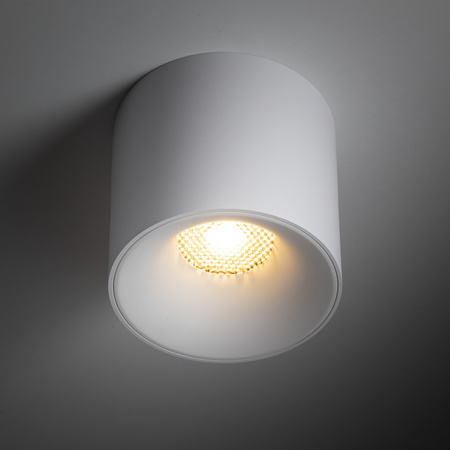 BLAZE WHITE 30W (18144) - TK Lighting