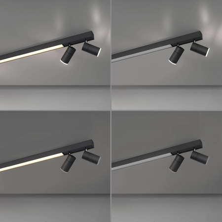 Lampa sufitowa PURE-LINES (6121-13) - Paul Neuhaus