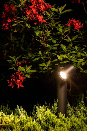 TUBINGS (8158) - Nowodvorski