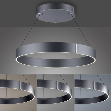 PURE E-CLIPSE LAMPA WISZĄCA SZARY (2561-15) - Paul Neuhaus