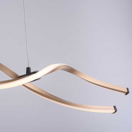 POLIA LAMPA WISZĄCA CZARNY/ZŁOTY (9142-18) - Paul Neuhaus