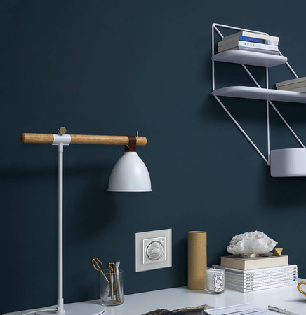 WBS-61 Moduł biały głośnika bluetooth Livolo