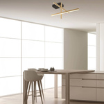CEILING LIGHT 25W 3000K ALUMINIUM BLACKGOLD (22024 Zambelis) - Zambelis