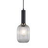 Lampa Wisząca Antiola (PND-5588-1M-BK+CL) - Italux