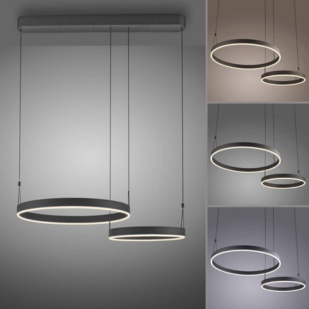 ESKO LAMPA WISZĄCA CZARNY (2360-18) - Paul Neuhaus