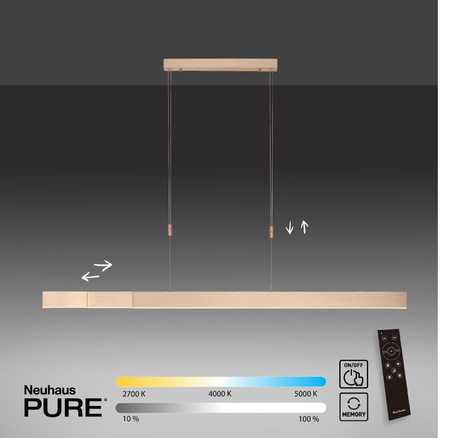 PURE-MOTO LAMPA WISZĄCA MATOWY MOSIĄDZ (2525-60) - Paul Neuhaus
