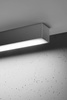 Lampa sufitowa PINNE 117 szary 4000K (TH.082) - Thoro Lighting