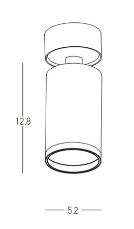 CEILING MOVABLE SPOT 1XGU10 WHITE (S123 Zambelis) - Zambelis