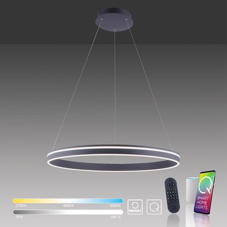 Q-VITO LAMPA WISZĄCA ANTRACYT (8412-13) - Paul Neuhaus