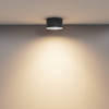 Lampa sufitowa Vega (C089CL-15W3K-B) - Maytoni