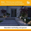 Lampa solarna słupek z czujnikiem zmierzchu Solar Layra Poller  (PL94876) - PAULMANN