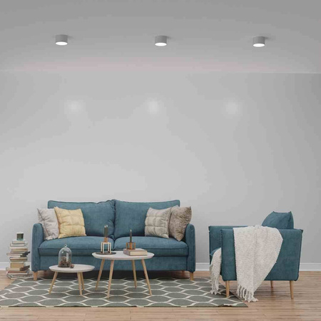 Lampa sufitowa DIXIE White 1xGX53 (MLP7538) - Milagro