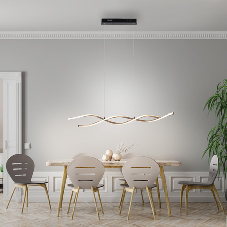 POLIA LAMPA WISZĄCA CZARNY/ZŁOTY (9142-18) - Paul Neuhaus