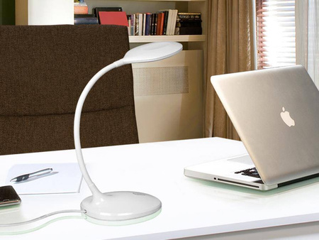 Scoop lampa stołowa 1 L (552758) - Schuller