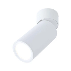 Lampa sufitowa TURNAL 3step-dim  6W 2700K 230V biała mat (PL93087) - PAULMANN