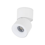 Lampa sufitowa kierunkowa SPARK WHITE CCT 10W (18168) - TK Lighting