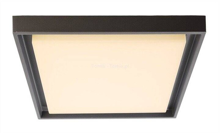 Plafon LED ARNEB 3000K (D348070)