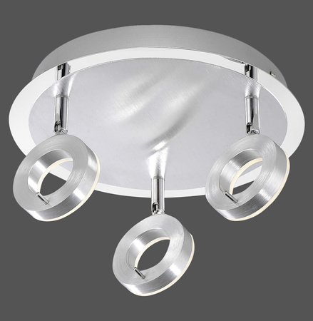 SILEDA LAMPA SUFITOWA ALUMINIUM (6788-96) - Paul Neuhaus