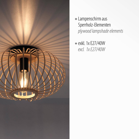 Lampa sufitowa RACOON (11410-79) - Paul Neuhaus