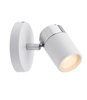 Kinkiet Spotlight Zyli IP44 (PL66710) - Paulmann