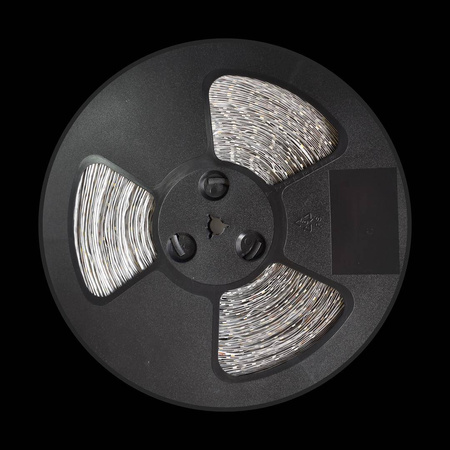 Taśma Led 60/m IP20 6500K (50m) (EKPL627) - Eko-Light