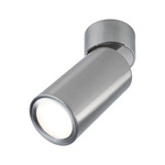 Lampa sufitowa TURNAL 3step-dim 6W 2700K 230V chrom sat (PL93091) - PAULMANN