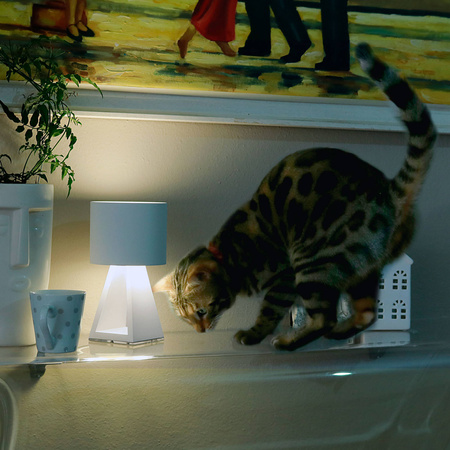 Lampa Stołowa PUP METAL (0028.71 DIM) - Vivida