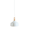 PENDANT 1L ALUMINIUM WHITE (1511-W Zambelis) - Zambelis