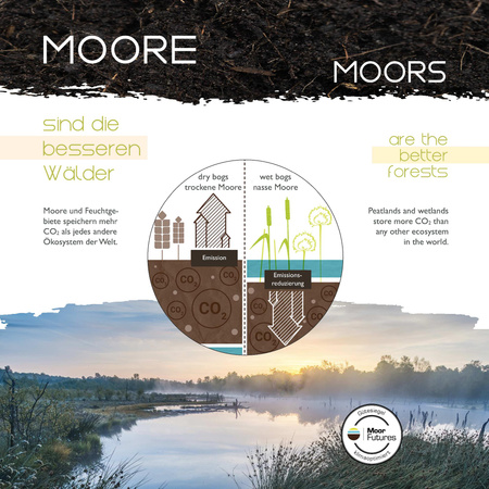 GREEN TRIBU LAMPA WISZĄCA DREWNO/BEŻOWY (15783-29) - Paul Neuhaus