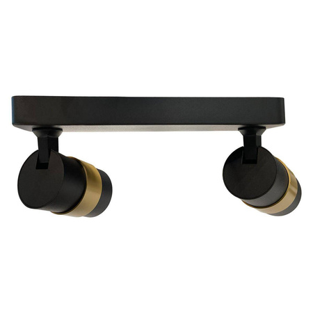 Lampa sufitowa Anillo 2 (LP-770/2W BK) - Light Prestige