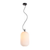 Lampa wisząca Rues (PND-64536C-M-BL-OPA) - Italux