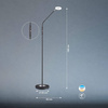 Lampa Podłogowa Dent  (40299) - Fischer&Honsel