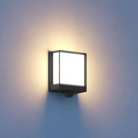 Oprawa LED Steinel L 40 LED SC (ST085247) - STEINEL