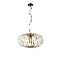 Lampa wisząca RACOON (11409-79) - Paul Neuhaus