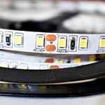 Taśma Pro 120 LED 48W 6000K IP20 5m (ML4753) - Milagro