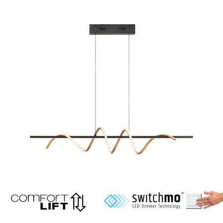 EMANDA LAMPA WISZĄCA MOSIĄDZ/CZARNY (19113-68) - Paul Neuhaus