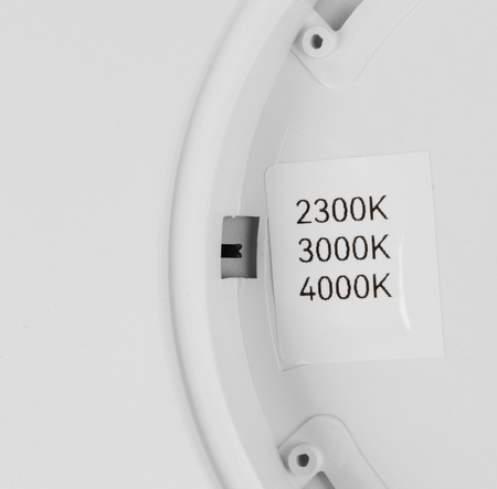 DRACO (R65891931) - RL