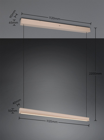 Nowoczesna lampa wisząca WALLACE (347910143) - Trio