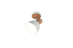 Lampa przysufitowa DELUME (R86671031) - RL