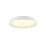 CEILING LIGHT LED 2OW 3000K WHITE (22127 Zambelis) - Zambelis